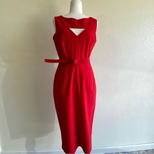 NWOT Gorgeous Red and White Bettie Page dress